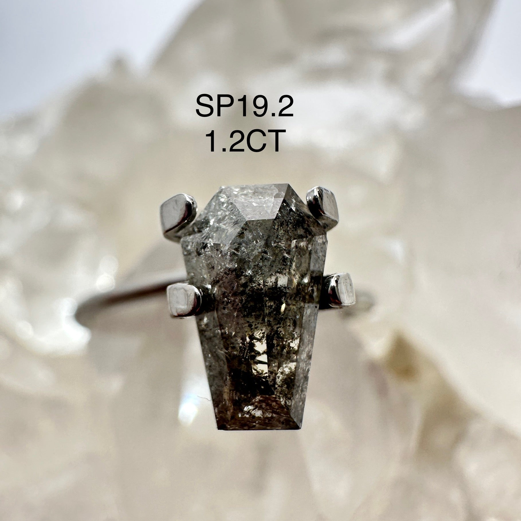 Design Your Own Custom Salt and Pepper Diamond Ring